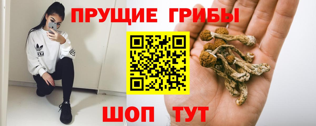 Галлюциногенные грибы Cubensis Елабуга